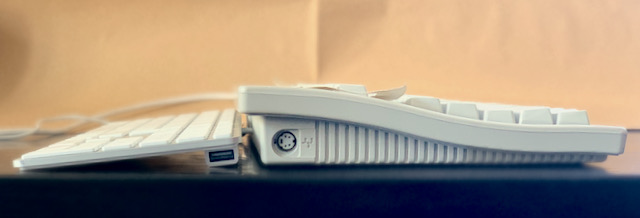 Apple Alu Tastatur und AEK II Rücken an Rücken